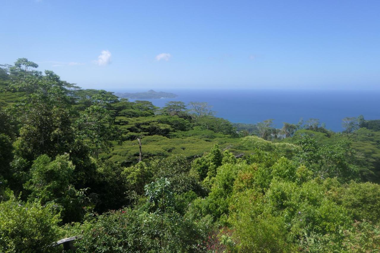 Tropical Garden Self Catering Villa Victoria Exterior foto