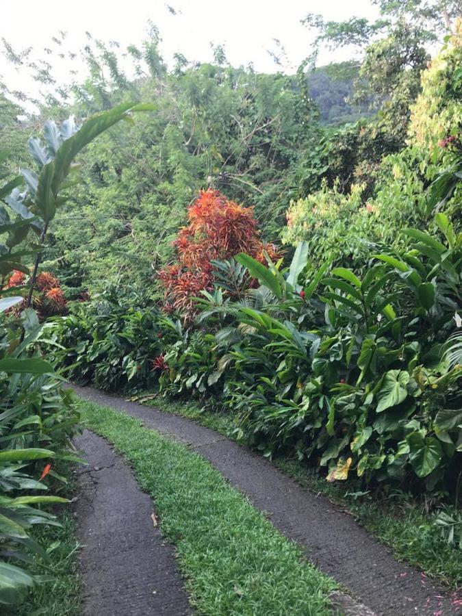 Tropical Garden Self Catering Villa Victoria Exterior foto